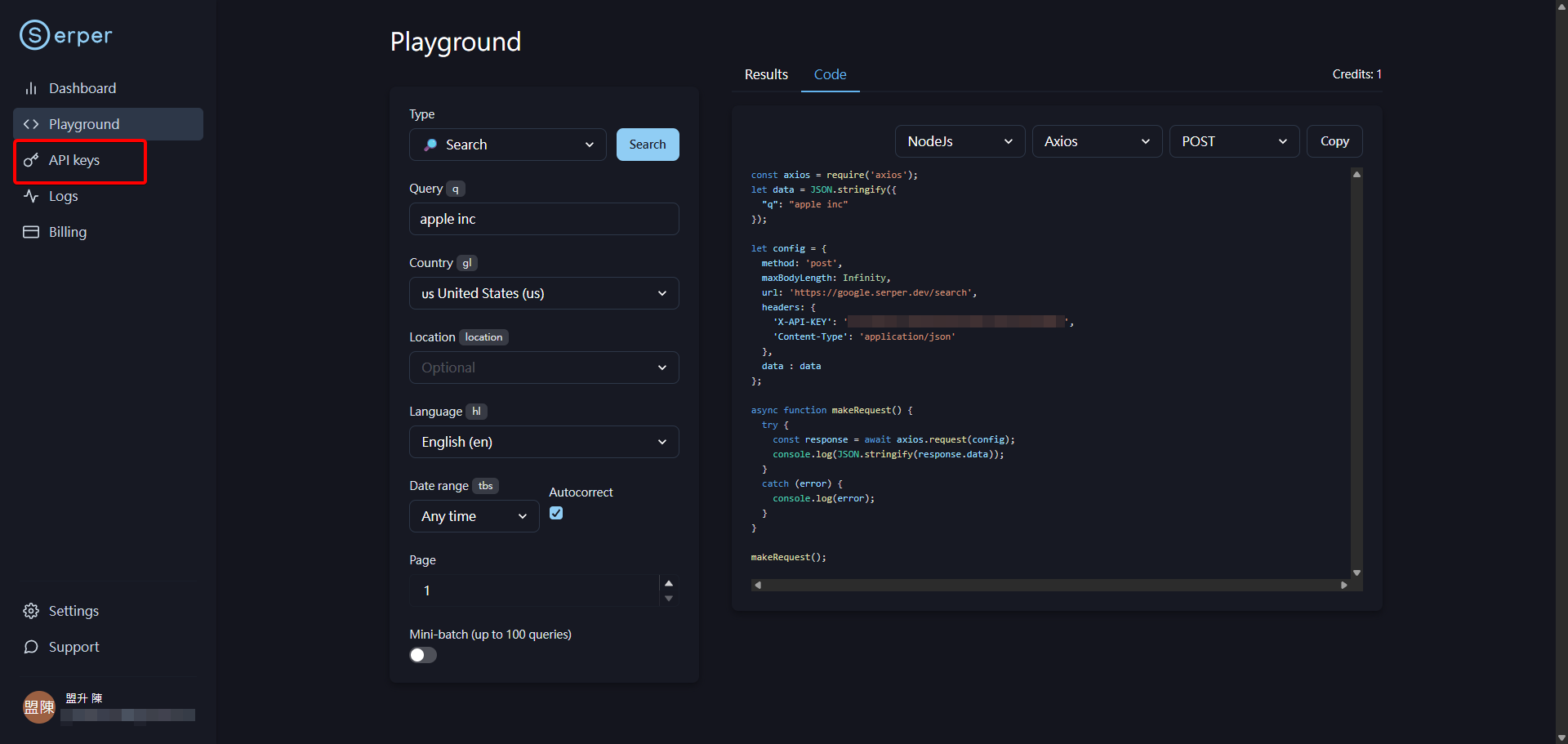 進入 Serper 儀表板後，點擊左側選單中的 'API Keys'。